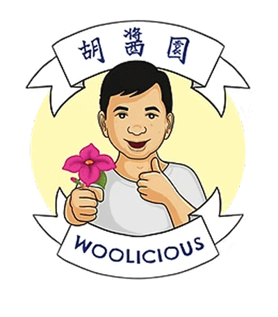 Woolicious